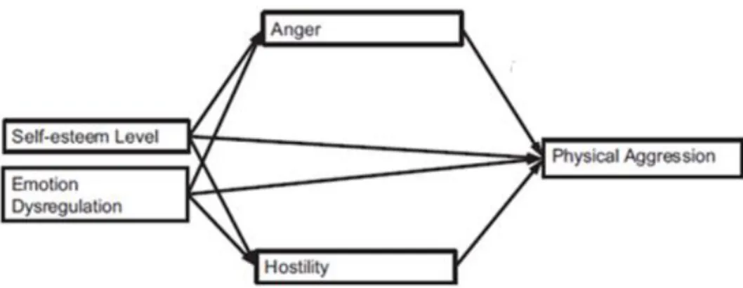 Figure  2.  Aggression  Multiple  Mediation  Model(Garofalo,  Holden,  Zeigler-Hill, &amp; Velotti, 2016) 