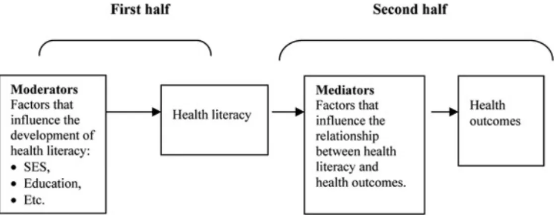 Figure  1.  HLS  framework  for  identifying  constructs  and  their  influence  by  Squiers  et  al