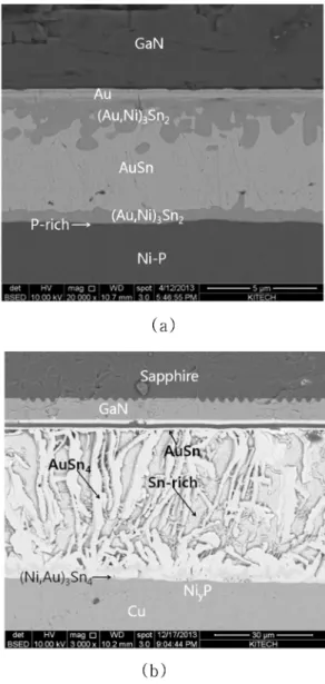 Fig. 6. Cross sectional SEM micrographs of (a) 20000X Au-Sn, (b) 3000X SAC solder.