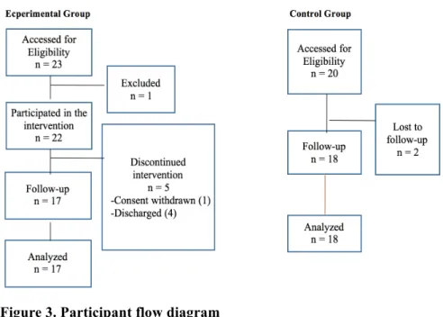Figure 3. Participant flow diagram 