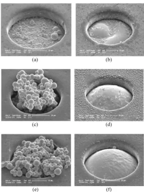 Fig. 3. SEM images of (a) aggregated solder powder using SBM with 5 wt% deoxidizing agent comparing with weight of polymer matrix in SBM (b) formed SoP using (a), (c) aggregated solder powder with 10 wt% deoxidizing agent (d) formed SoP using (c), (e) aggr