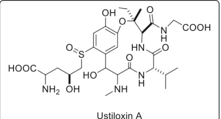 Fig. 1 Chemical structure of ustiloxin A