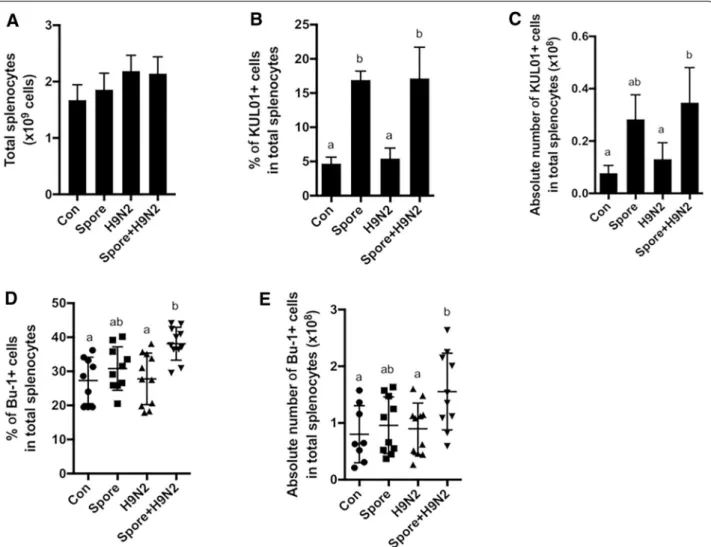 Figure 2  Analysis of splenic B cells and innate immune cells in chickens administered inactivated H9N2 and B