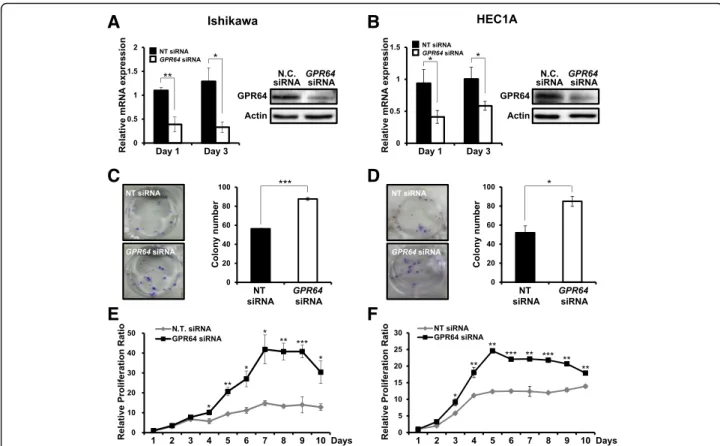 Fig. 2 Effect of GPR64 loss on cell growth in human endometrial cancer cells. a and b The expression of GPR64 mRNA and protein in Ishikawa (a) and HEC1A (b) cells transfected with non-targeting pool (NT) siRNA or GPR64 siRNA was examined by RT-qPCR and Wes