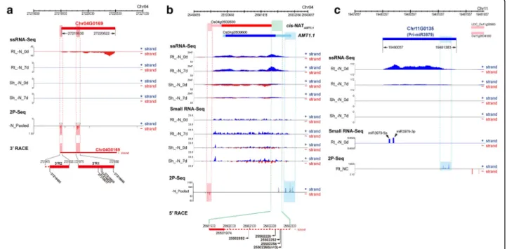 Fig. 4 Expression profiling of putative lncRNAs under nitrogen (N) starvation and other stress conditions in rice