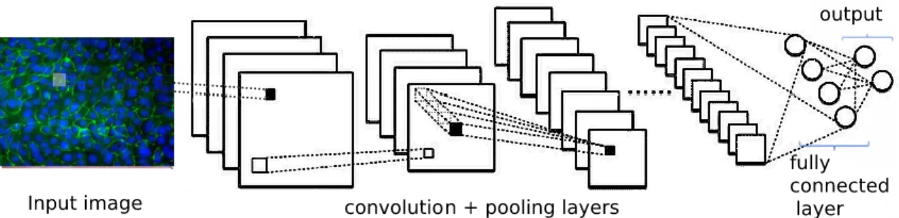 Figure 2. A general structure of a ConNet Architecture. 