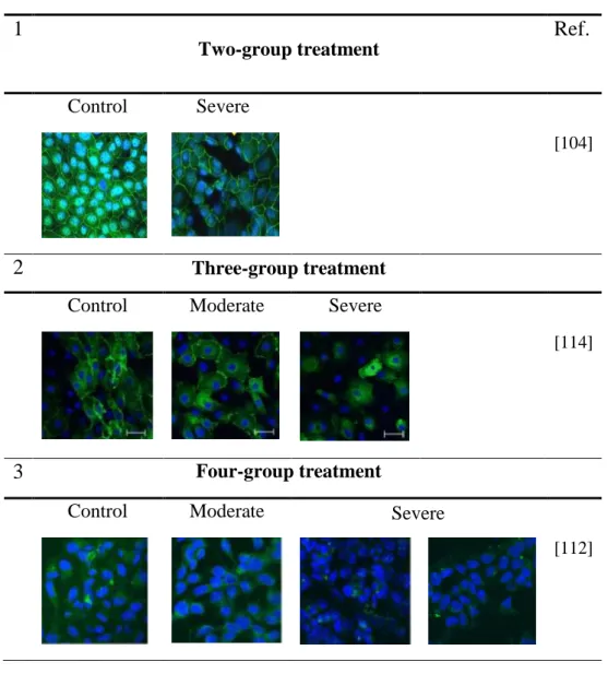 Table 5. IPEC-J2 cells barrier integrity annotation based on normal, moderate and  severe TJs’ disruption