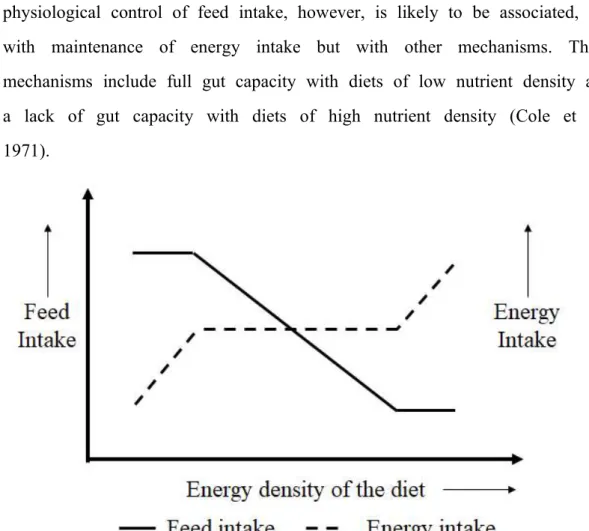 Figure  7.  Schematic  representation  of  the  relationship  between  feed  and  energy  intakes  and  the  energy  density  of  the  diet