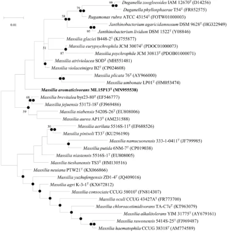 Figure  5.  ML  tree  showing  the  phylogenetic  position  of  the  novel  species  based  on  16S  rRNA  gene  sequences