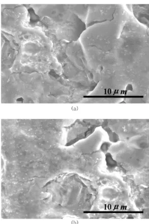 Fig. 9. Polarization plots comparisons between Ni and nano TiO 2 - -Ni coating. Scan rate was 5 m V/s in deaerated 0.5 M H 2 SO 4.