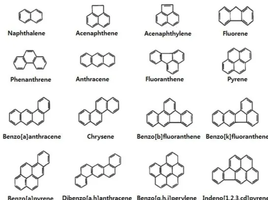 Fig. III-1. Structures of 16 priority PAHs classified by the US EPA.