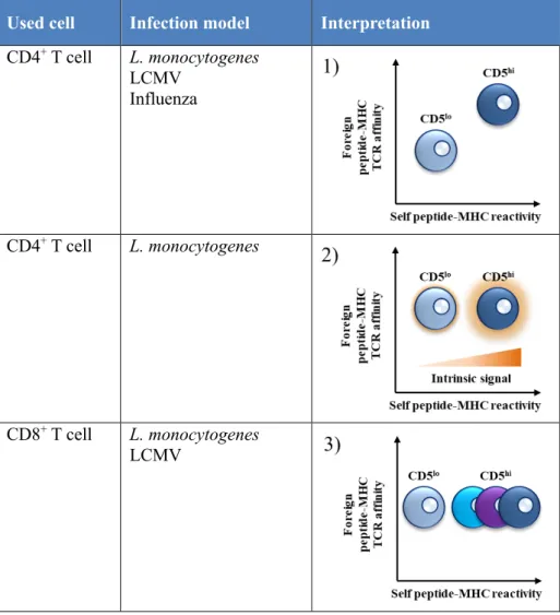 Table 2. Responsiveness of CD5 lo  and CD5 hi  T cells in infection studies. 