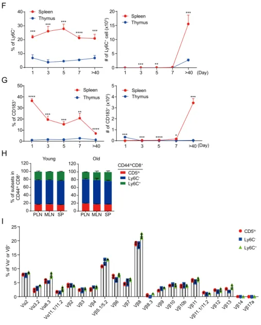Figure  4.  Naïve  CD8 +   T  cells  maintain  heterogeneous  phenotypes 