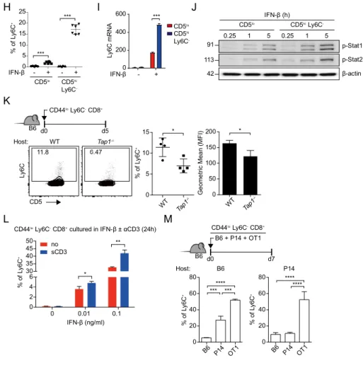 Figure 5. Generation of Ly6C +  naïve CD8 +  T cells is tightly regulated by 