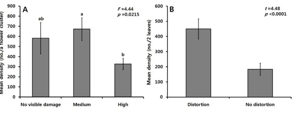 Fig. 10. The number of C. vitis was counted from a flower cluster and leaves. (A) Mean density (± SE) of the mite on a 