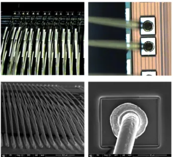 Fig. 8. Bonding WPT and BST images.