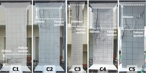 Fig.  4.  Failure  modes  of  specimens  after  the  end  of  testing