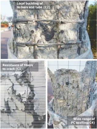 Fig.  6.  Breakup  of  specimens
