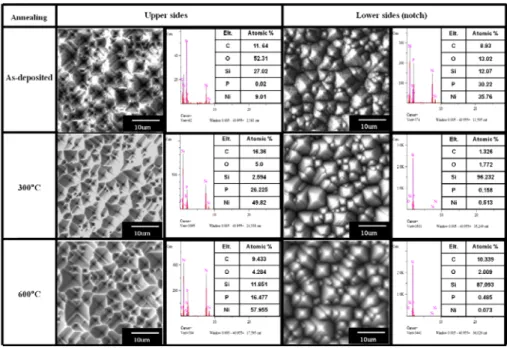 Fig. 5. SEM image and EDS analysis results of debonded surfaces after 4-point bending test