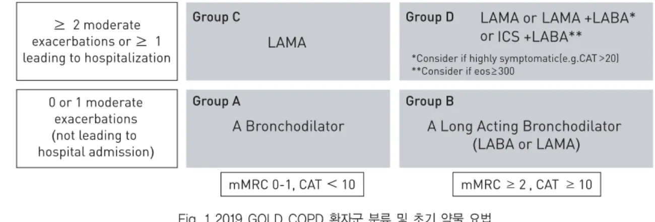 Fig. 2 2019 GOLD 약물 치료 단계