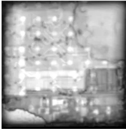 Fig. 2. SAT photograph of Cu/Low-K Flip-Chip after Temperature Cycle.