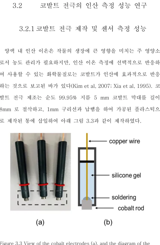 Figure 3.3 View of the cobalt electrodes (a), and the diagram of the  cobalt electrode (b) 