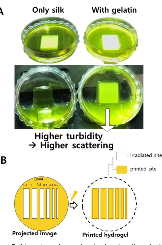 Figure 7 Schematics and examples showing the effect of adding gelatin as a spacer. (A) pictures showing the addition of gelatin increases light scattering