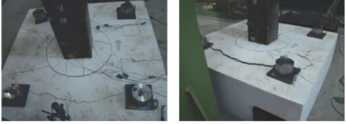 Fig.  19.  Photos  of  experiment  (MFC175-d)