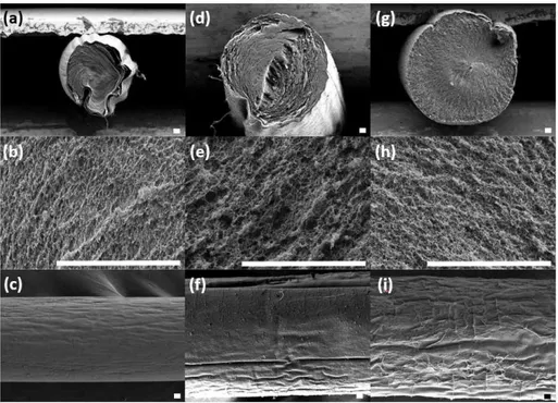 Figure  9.  Low  and  high  magnification  FE-SEM  images  of  the  cross-sectional  images  and  longitudinal  images  of  freeze-dried    alginate  (A10)(a,  b,  c),    alginate/gelatin  (A6G4)(d,  e,  f),  alginate/gelatin  methacrylate  (A6GM4)(g,  h, 