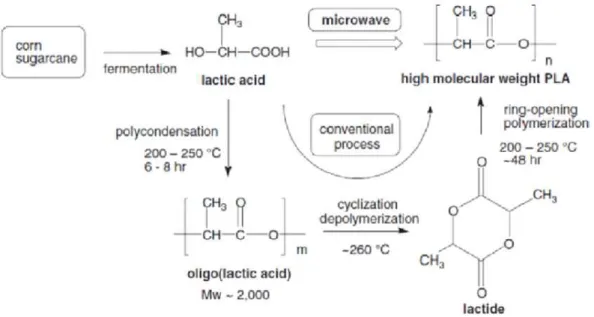 Figure 4. Condensation of lactic acid and ring opening polymerization of lactide [27].