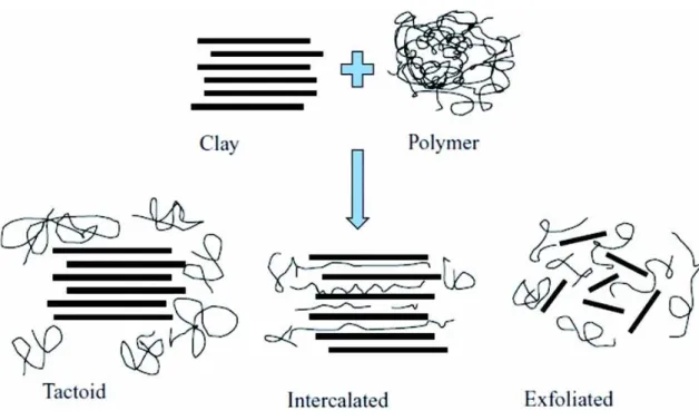Figure 7. The possible morphologies of polymer/clay nanocomposites　 [42].