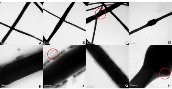 Figure 10. TEM images of experimental groups. A, B: PCL only group, C, D: HBNP 1% group, E,  F: nHA 1% group, G, H: HBNP 10% group