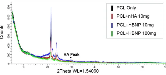 Figure 11. XRD result of nanofiber scaffold. Every groups with bioceramic showed HA-specific  peak