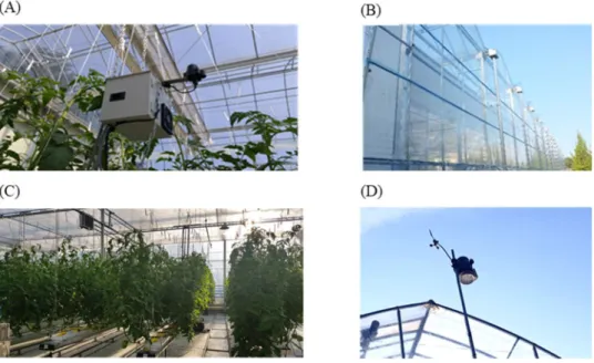 Figure 22. Experimental set-up. (a) Temperature sensor used to monitor the  environment inside the greenhouse