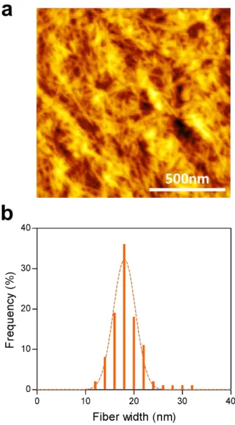 Figure  10.  (a) AFM  image  of  CNF  film  with  carboxylic  content  of  1.14  mmol/g