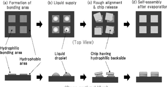 Fig. 7. Snapshots from a short movie of multichip self-assembly.