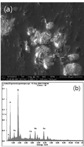 Fig. 9. Optical micrographs of phosphor carbonization in encapsulation materials: (a) anode side and (b) cathode side before aging test, (c) anode side after aging 96 h and (d) cathode side after 96  h with 350 mA.