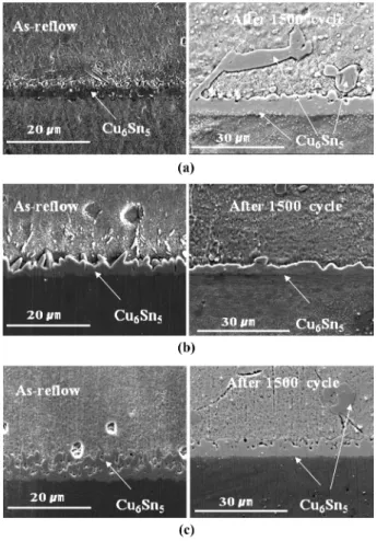 Fig. 6. Cross section SEM images of the three lead-free solders at PCB side after thermal cycle test