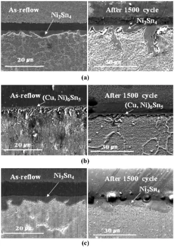 Fig. 9. Ag 3 Sn IMC of Sn-3.5Ag after complex vibration test.