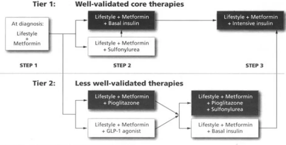Fig. 2 Depiction of the elements of decision making used to determine appropriate efforts to achieve glycemic targets 10)Fig