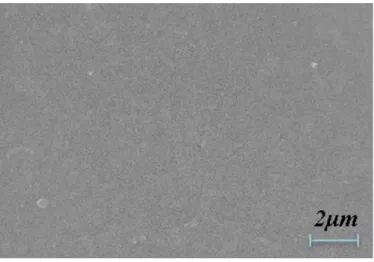 Figure  11.  FE-SEM  images  of  SS  bead  after  drying:  (a)  low  magnification and (b) high magnification.