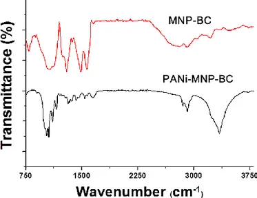 Figure 3-6. FT-IR spectra of (A) BC and (B) PANi-MNP-BC. 