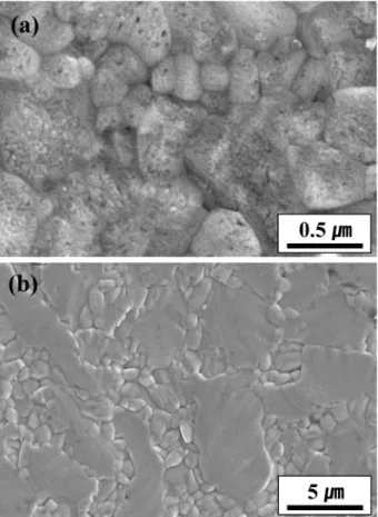 Fig. 4. Scanning electron micrographs of the Sb-Te films after  a reduction annealing