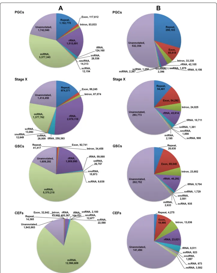 Figure 1 Genome distribution of total and unique reads. Genome distribution of total (A) and unique (B) reads in PGCs, stage X blastoderms, GSCs, and CEFs obtained using high-throughput next-generation sequencing following the standard annotation protocols