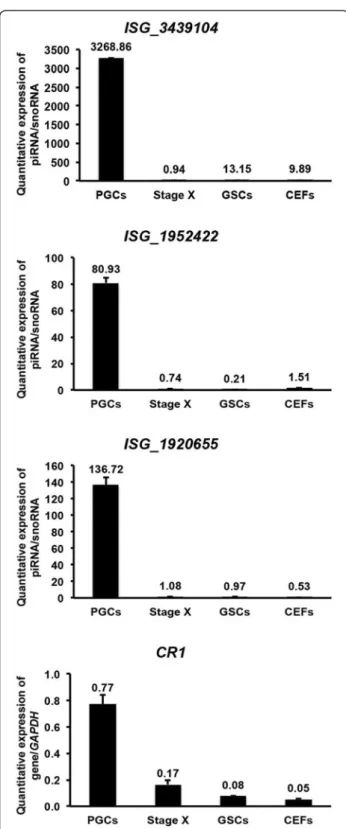 Figure 2 qPCR analysis of piRNAs and piRNA-linked non-coding gene. qPCR quantitative expression analysis of three repeat  sequence-linked putative piRNAs that were upregulated in PGCs, along with CR1