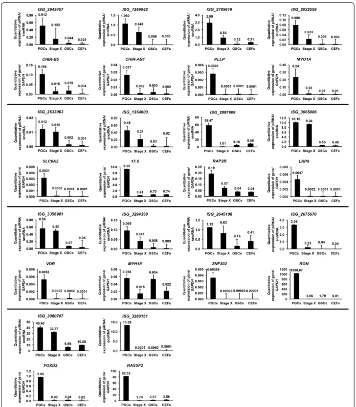 Figure 3 qPCR analysis of piRNAs and piRNA-linked coding genes. qPCR quantitative expression analysis of 14 genic-transcript-linked piRNAs that were upregulated in PGCs, along with their linked coding genes