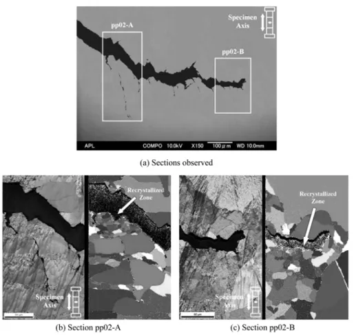 Figure 15 shows SEM photographs of the longitudinal cross section of the specimen in the pp strain waveform at De=0.3% and in the cp strain waveform at  ∆ε =0.3% with