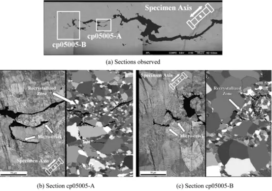 Fig. 14. SEM and EBSP photographs of the longitudinal cross section of the specimen in the cp strain waveform at  ∆ε =0.5% and