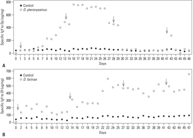 Fig. 3. Western blotting analysis of purified IgY specific against HDMs. The 