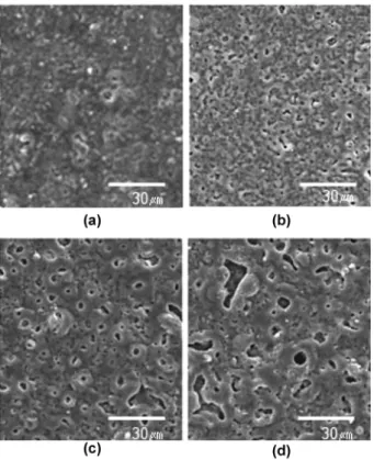 Fig. 12. Change of magnesium oxide thickness with respect to time.